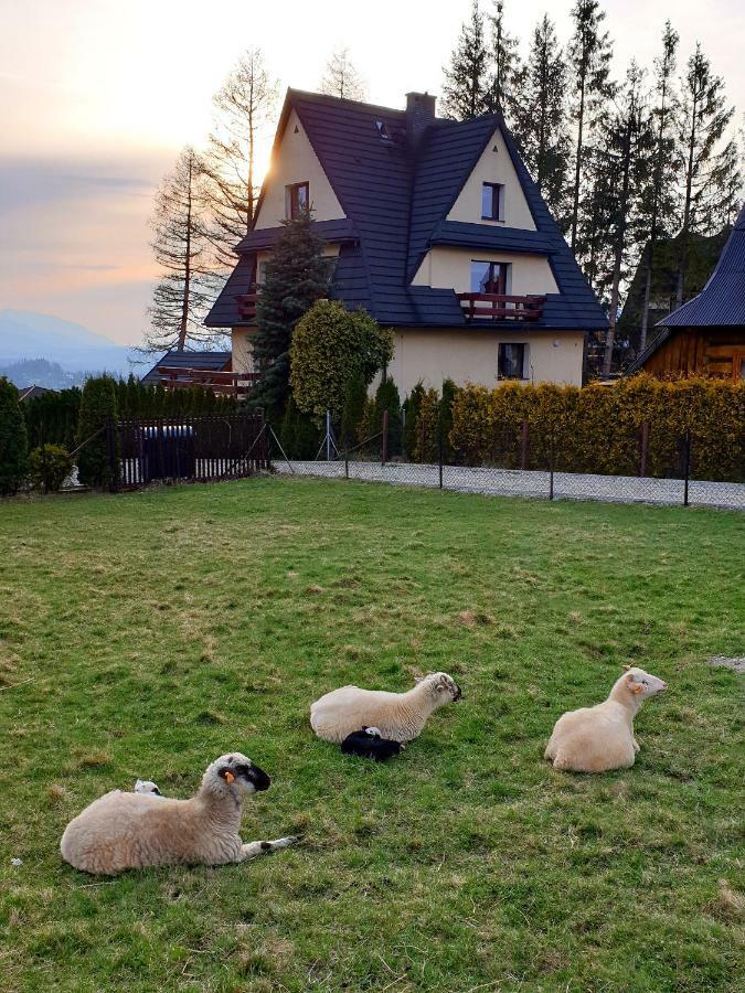 Apartamenty Bella Vista Zakopane Exterior photo